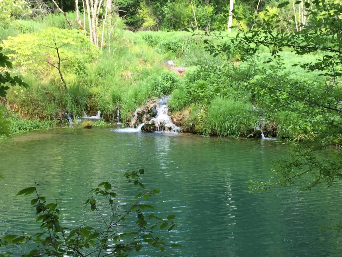 Gaestehaus Marion Dettingen an der Erms Dış mekan fotoğraf
